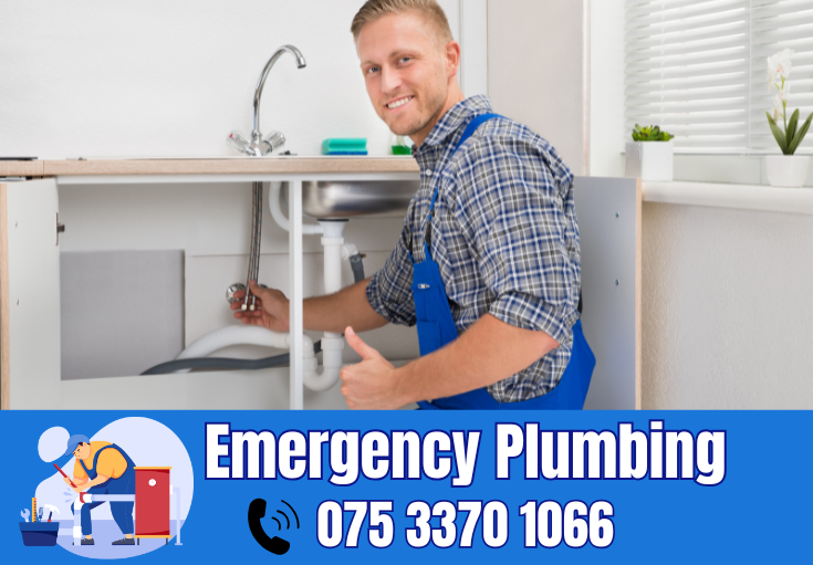 plumber Langton Green