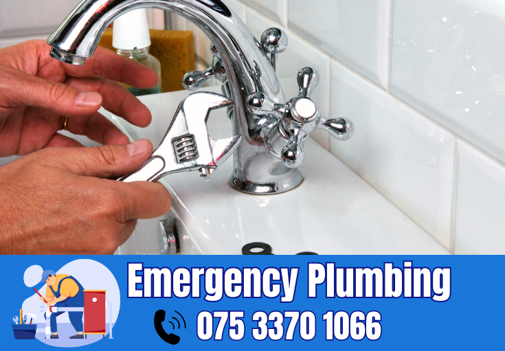  plumber Bidborough