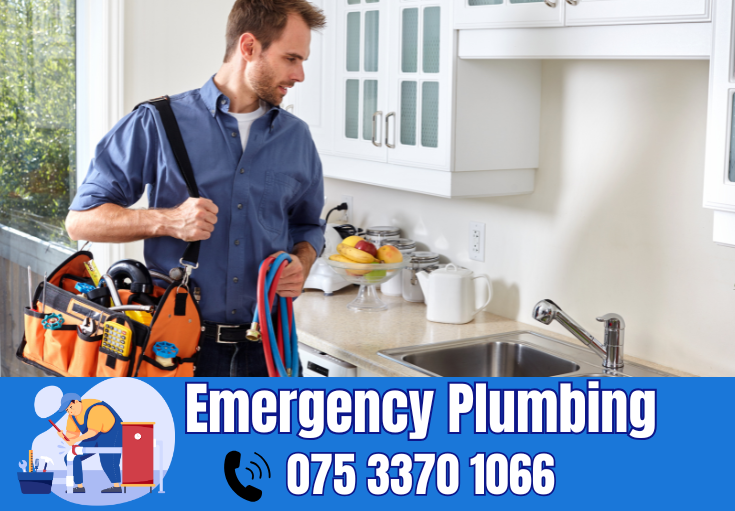  plumber Speldhurst
