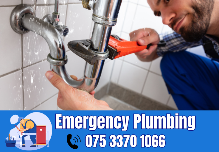  plumber Tunbridge Wells