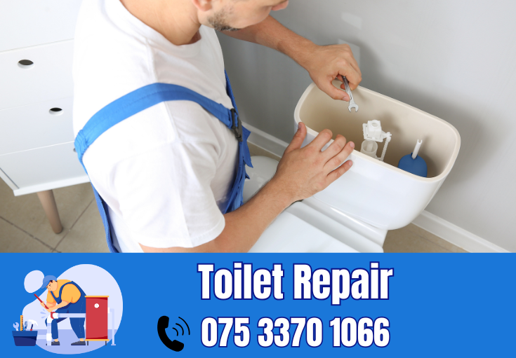 toilet repair Southborough